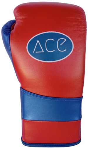 Ace Lace Up Training Gloves