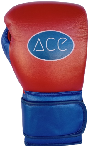 Ace Hook & Loop Training Gloves