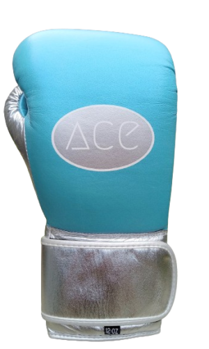 Ace Hook & Loop Training Gloves - Sky Blue/Silver